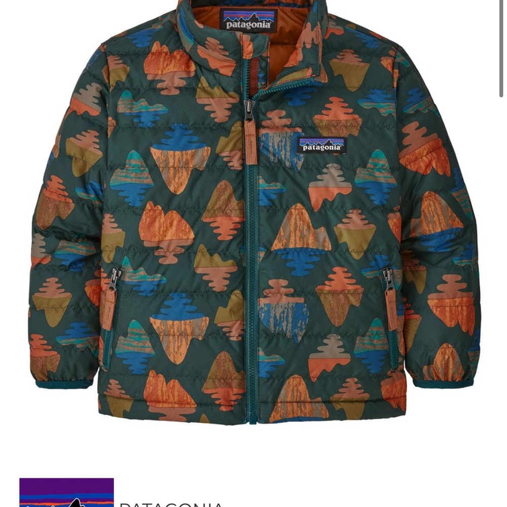 Patagonia down sweater